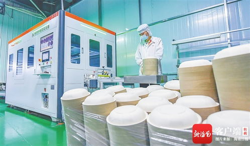 變 看海口國家高新區(qū)云龍產業(yè)園甘蔗渣變成環(huán)保餐具