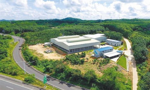 澄邁產(chǎn)業(yè)幫扶拔窮根 環(huán)保科技鋪就可持續(xù)發(fā)展之路