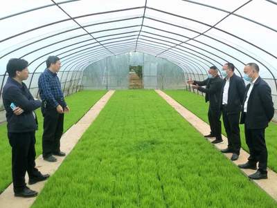 衡南縣聚焦技術(shù)推廣服務(wù)，力爭完成55萬畝機(jī)插機(jī)拋面積