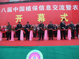 技術推廣服務中心的多元發展路徑與模式創新